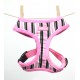 DOGUE Pettorina Striped Harness Pink/Black